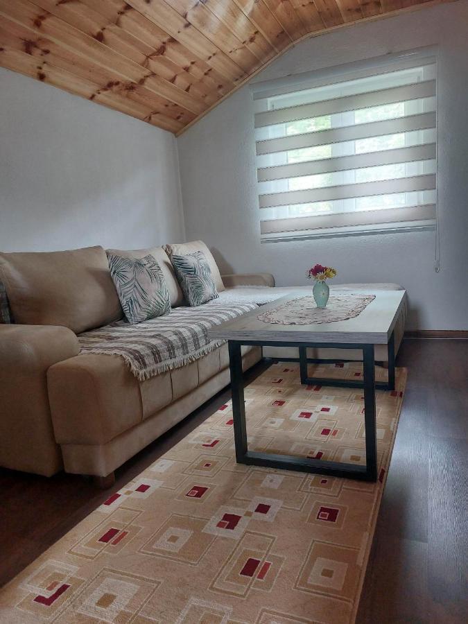 Apartman Branko Kolašin Екстериор снимка